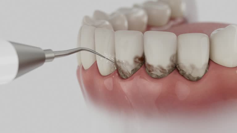 Reliable Emergency Dentist contractor in Carroll County County, MD by Dentist Open Now